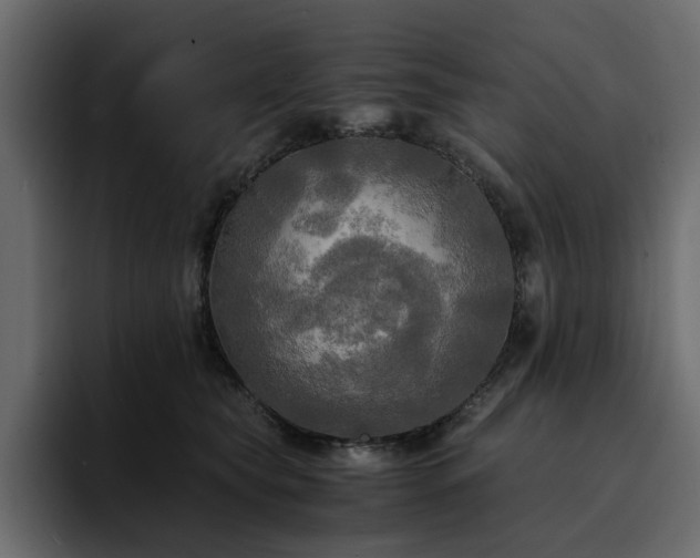 X0000095120565200712141138