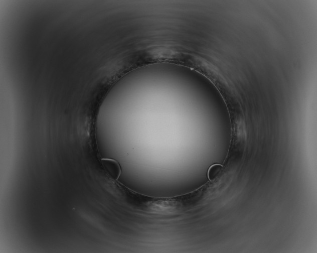 X0000095120567200712141138