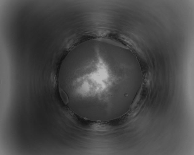 X0000095120568200712141138