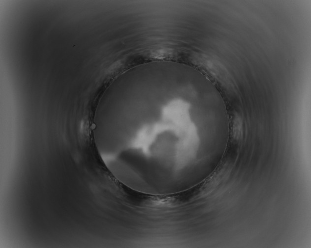 X0000095120569200712141138