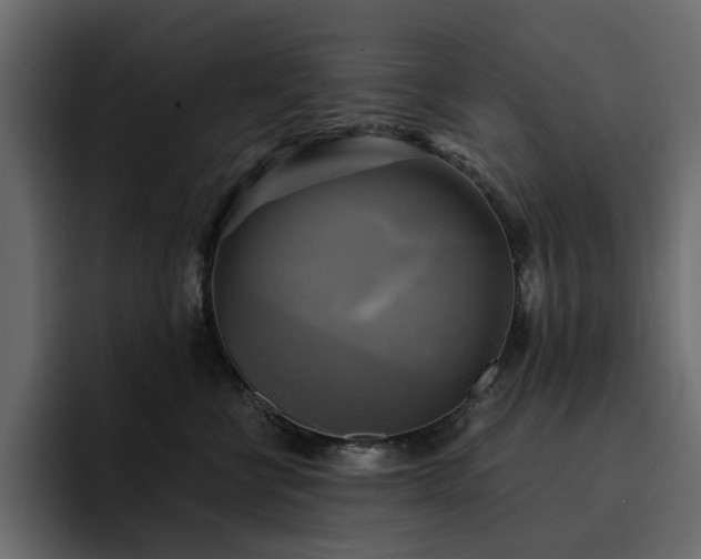 X0000095120570200712141138