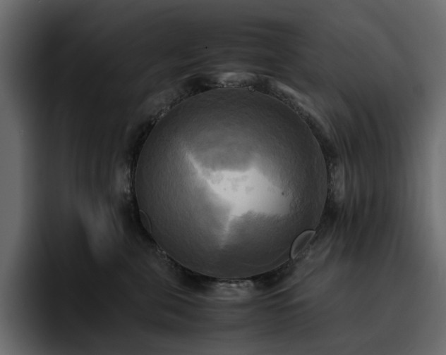 X0000095120571200712141138