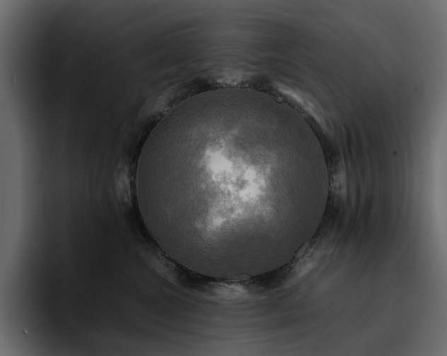 X0000095120572200712141138