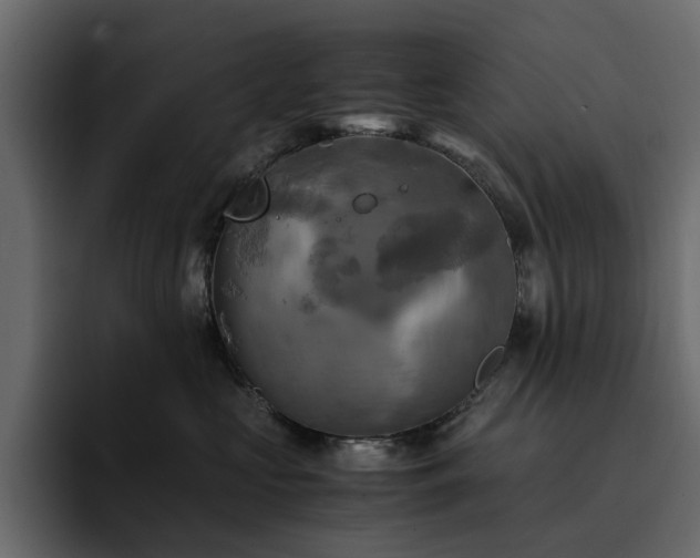 X0000095120573200712141138