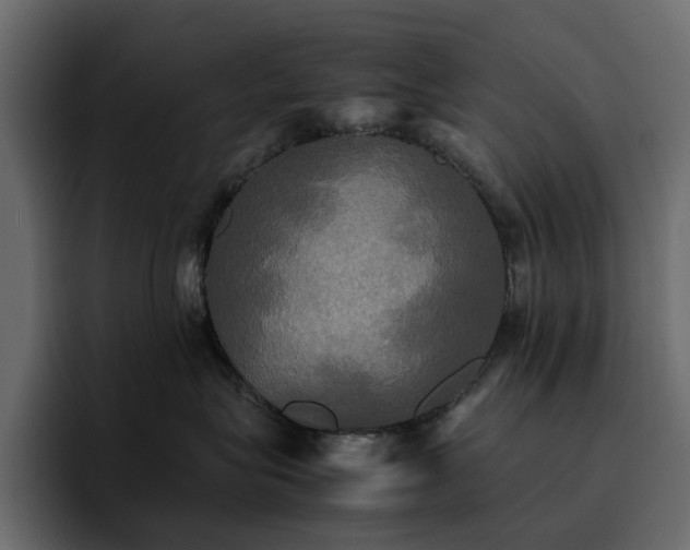 X0000095120575200712141139