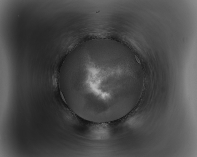 X0000095120576200712141139