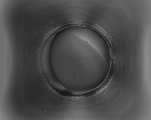 X0000095120577200712141138