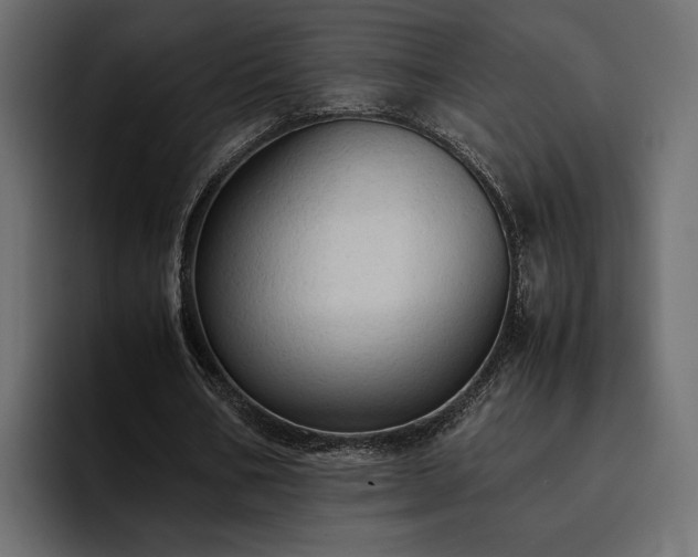 X0000095120578200712141138