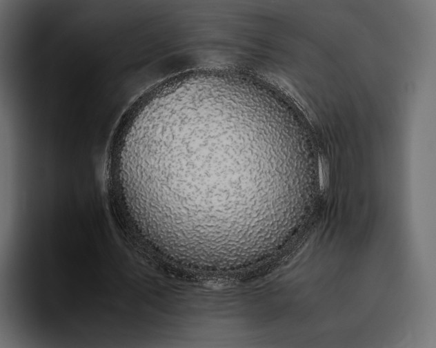 X0000095120579200712141138