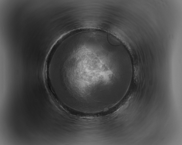 X0000095120580200712141138