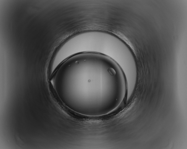 X0000095120581200712141138