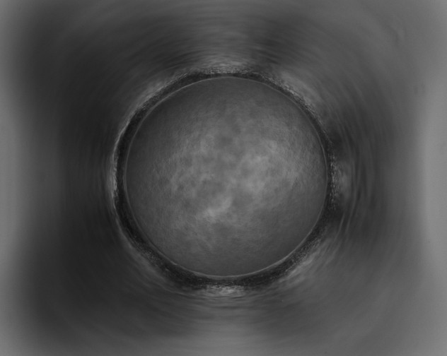 X0000095120582200712141138