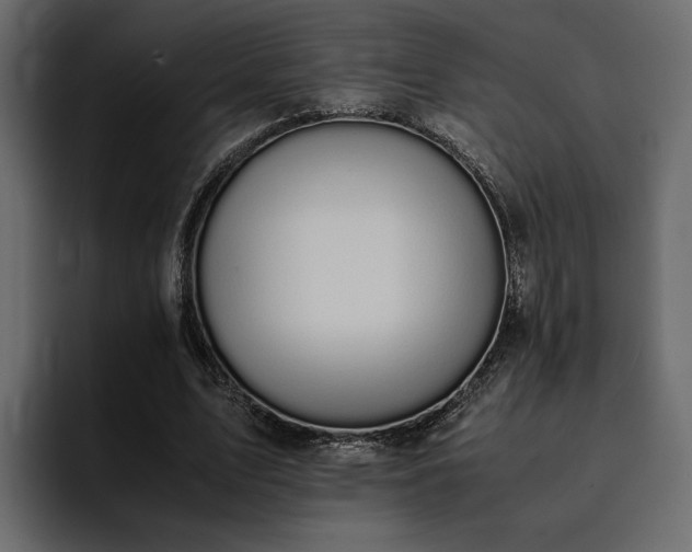 X0000095120583200712141138