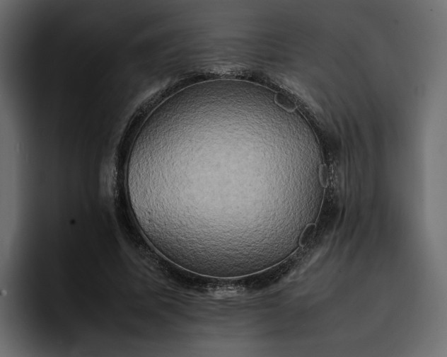 X0000095120587200712141138