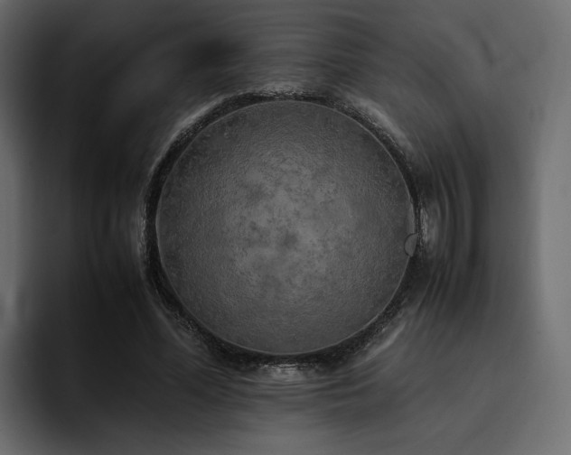 X0000095120588200712141138