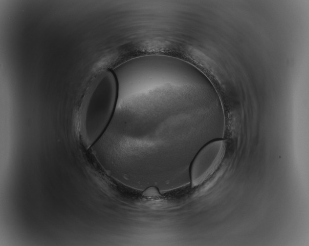 X0000095120589200712141138