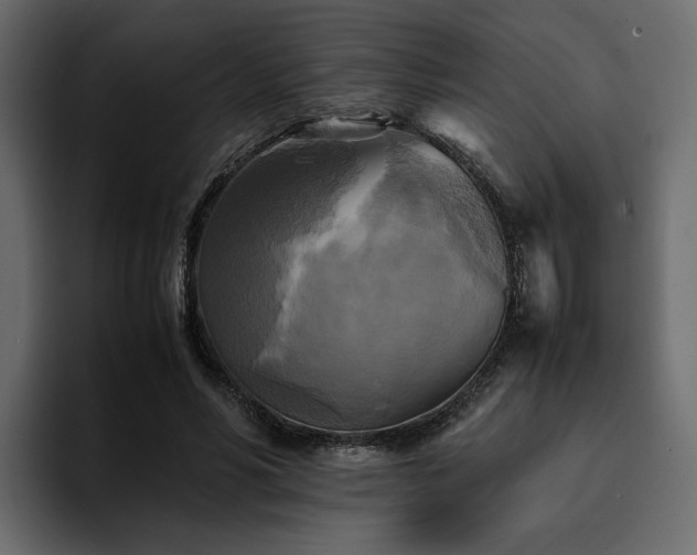 X0000095120590200712141138