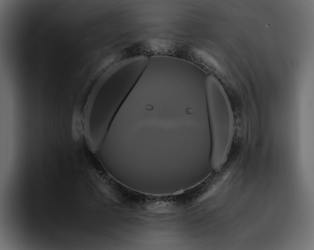 X0000095120593200712141138