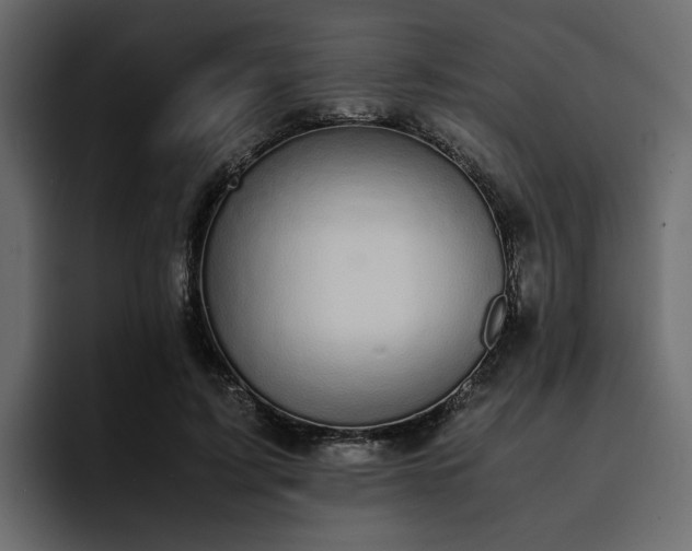 X0000095120595200712141138