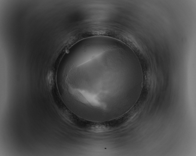 X0000095120598200712141138