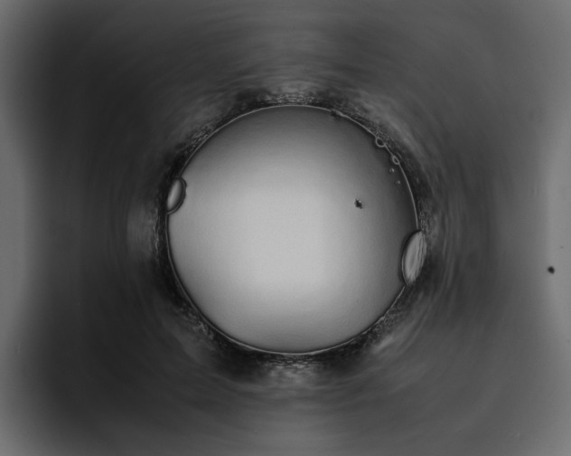 X0000095120599200712141138