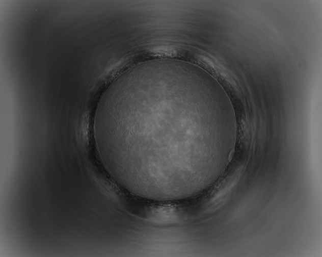 X0000095120600200712141138