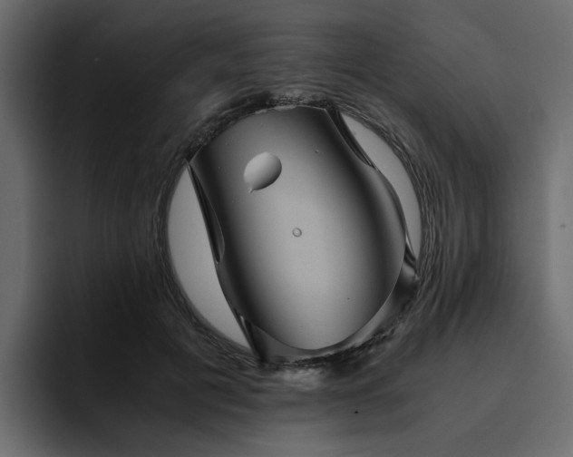 X0000095120601200712141138