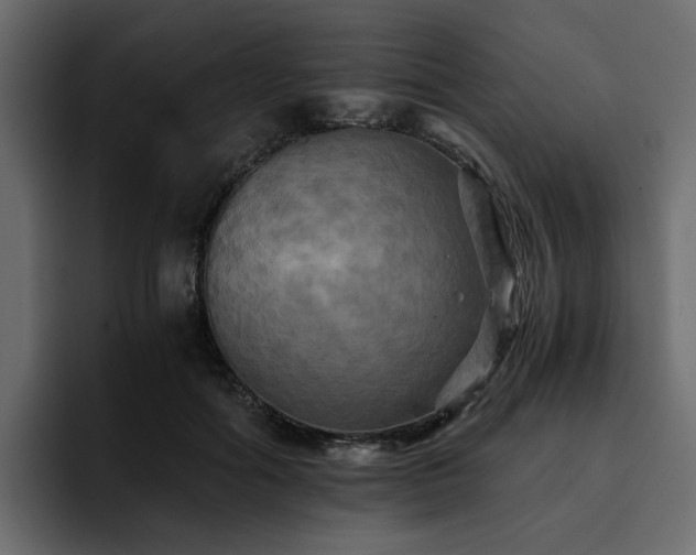 X0000095120602200712141138