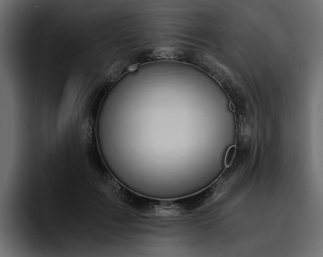 X0000095120603200712141138