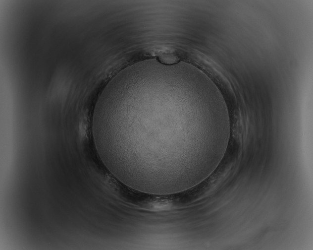 X0000095120604200712141138