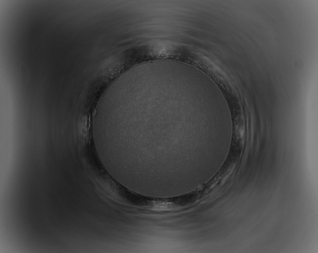 X0000095120605200712141138