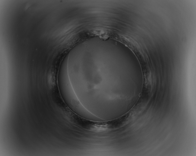 X0000095120606200712141138