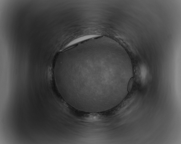 X0000095120612200712141137