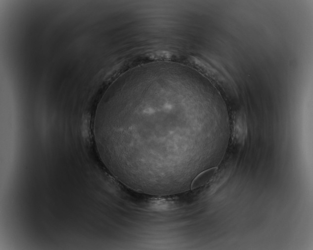 X0000095120616200712141137