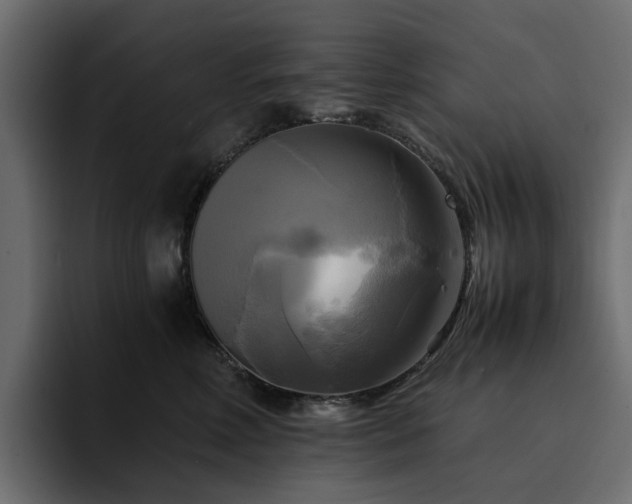 X0000095120618200712141137