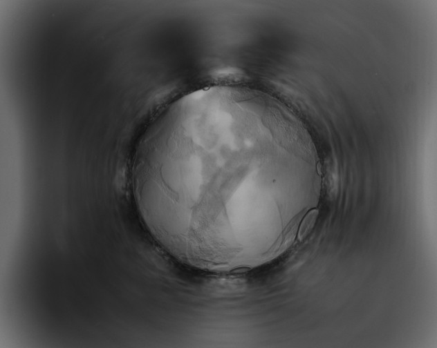 X0000095120619200712141137