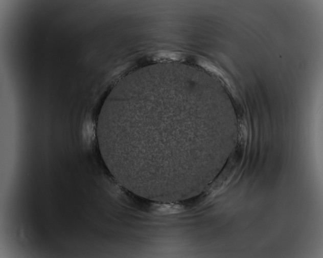 X0000095120621200712141137