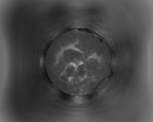 X0000095120623200712141137