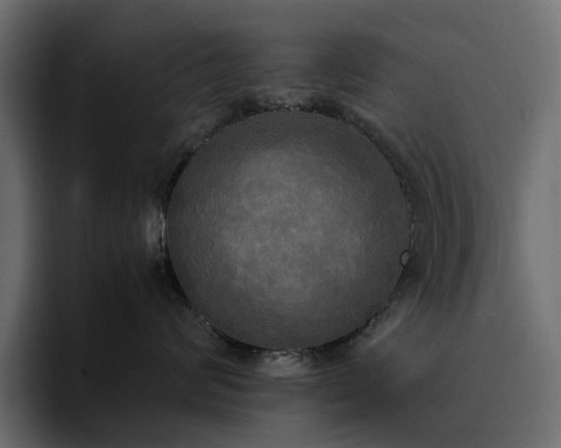 X0000095120624200712141137