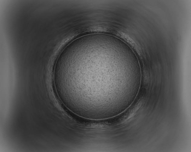 X0000095120625200712141136