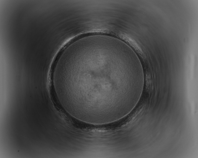 X0000095120628200712141137