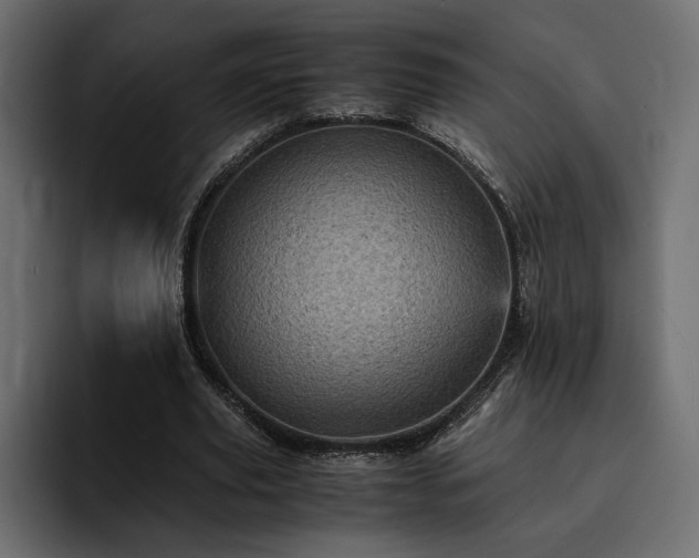 X0000095120629200712141137