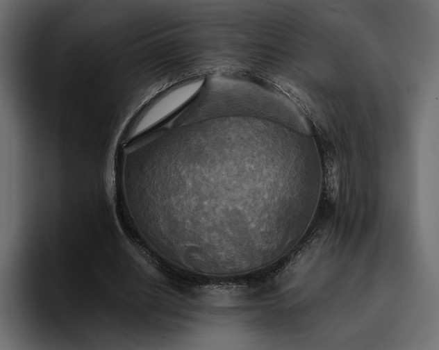 X0000095120630200712141137