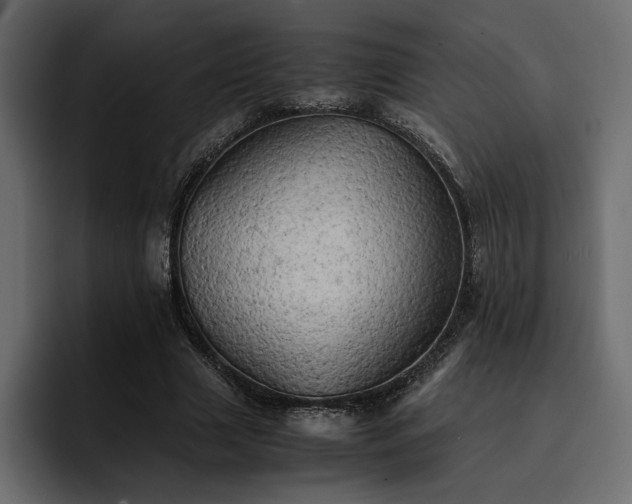 X0000095120633200712141137