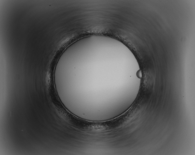 X0000095120636200712141137