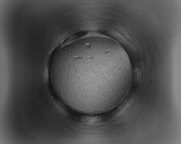 X0000095120638200712141137