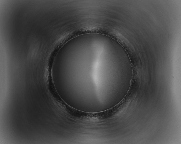 X0000095120640200712141137