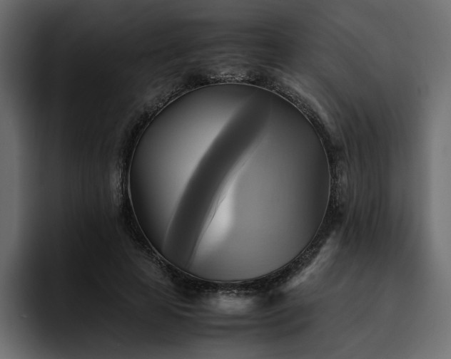 X0000095120641200712141137