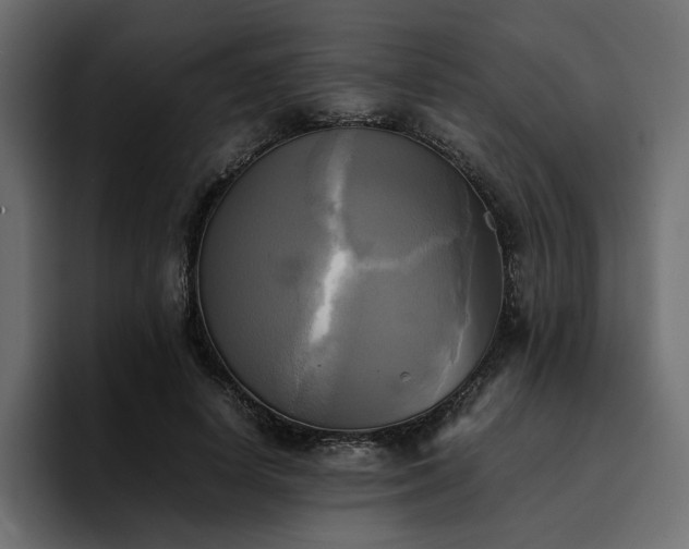 X0000095120642200712141137