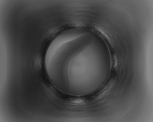 X0000095120643200712141137